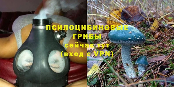 Альфа ПВП Бугульма