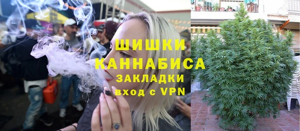 прущие грибы Осинники