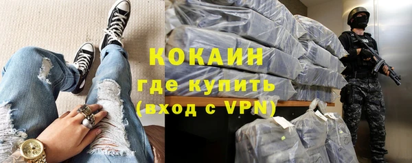 a pvp Бородино