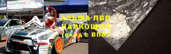 a pvp Бородино