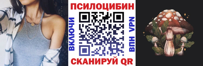 Псилоцибиновые грибы Cubensis  Княгинино 